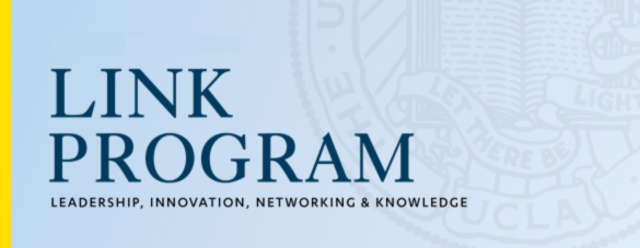 LINK Program: Leadership, Innovation, Networking, Knowledge