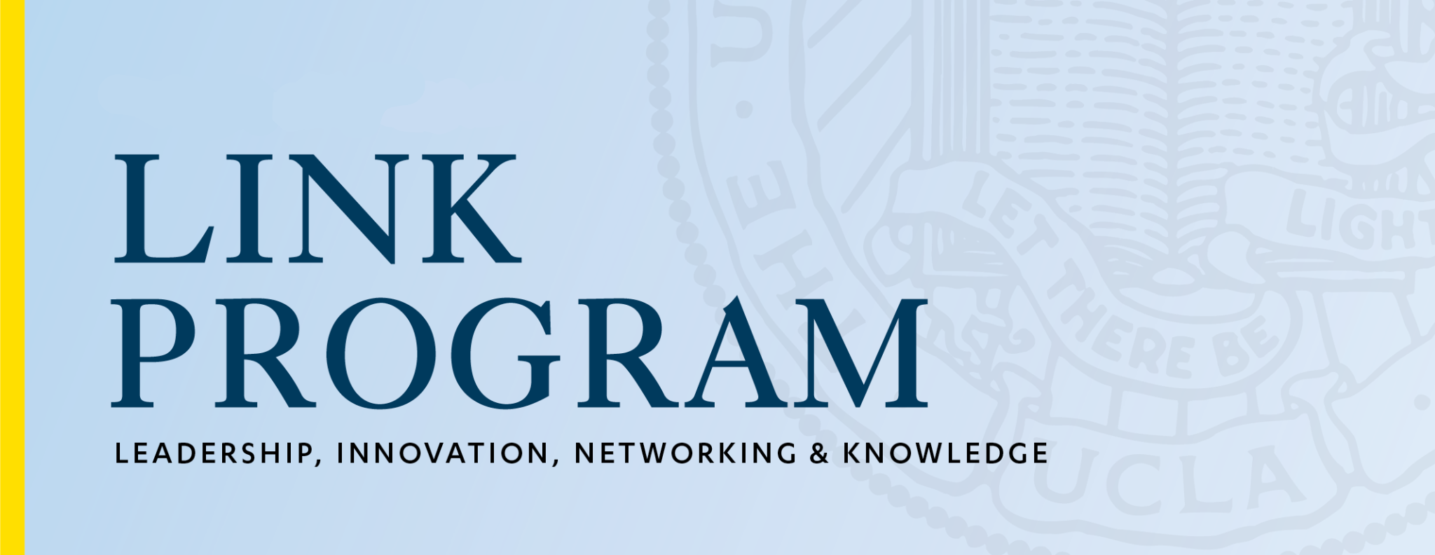 LINK Program: Leadership, Innovation, Networking, Knowledge